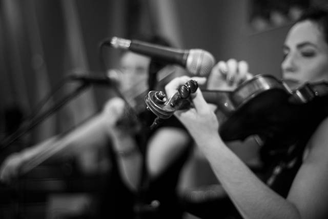 Violinistas