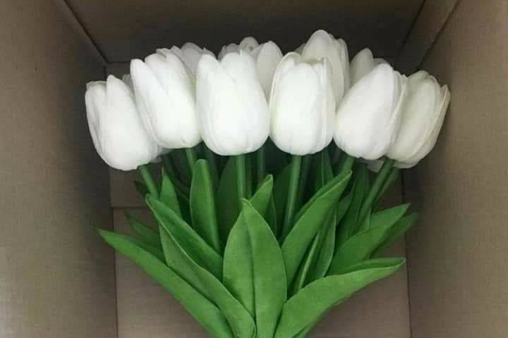 Buquê de Tulipas Brancas