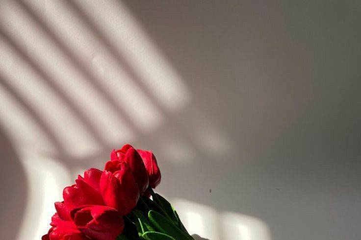 Buquê de Tulipas Vermelhas