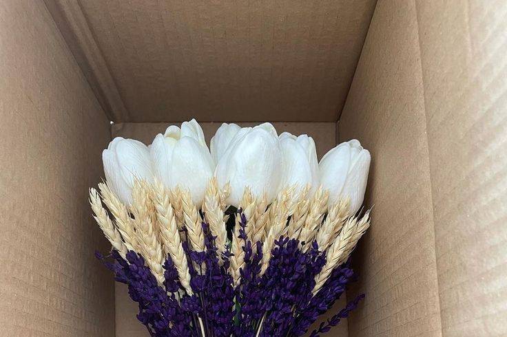 Buquê tulipa, trigo e lavanda