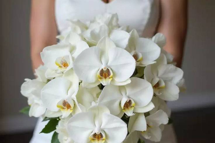 Buquê de orquídea