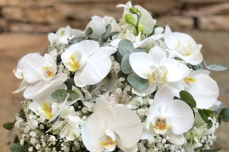 Buquê de orquídea