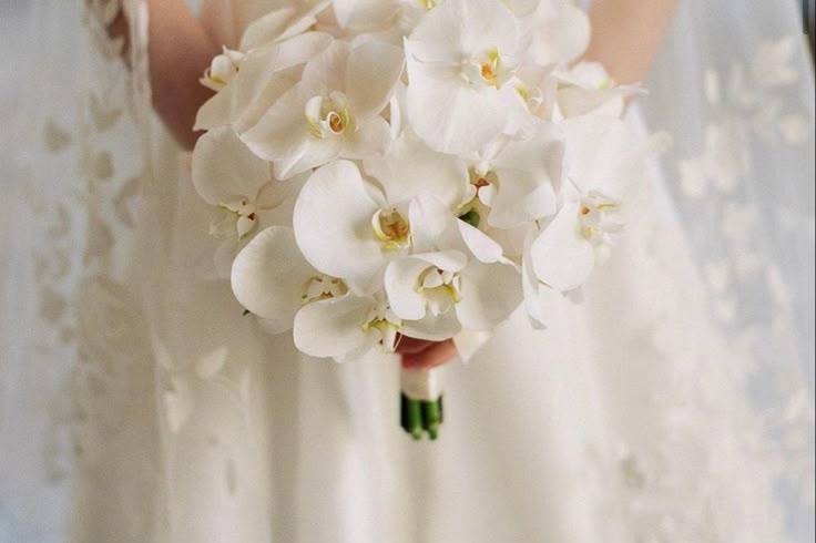 Buquê de orquídea