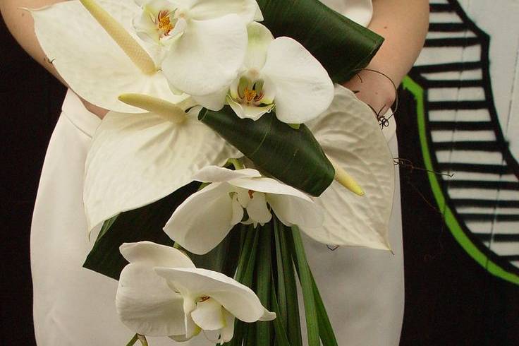 Buquê de orquídea