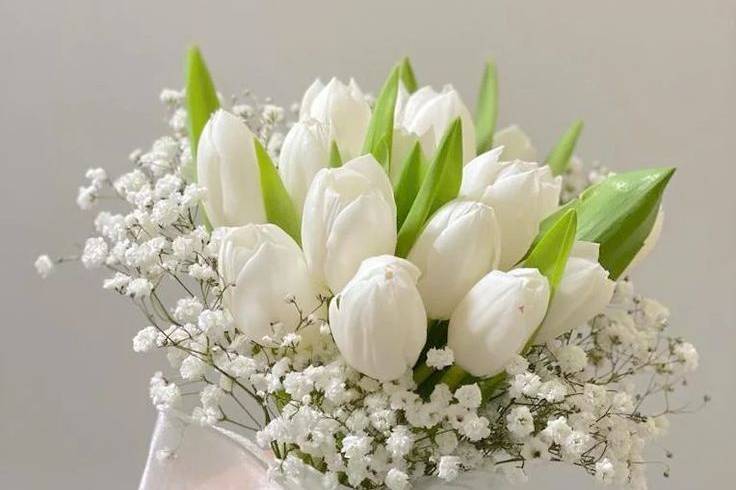 Buquê tulipas