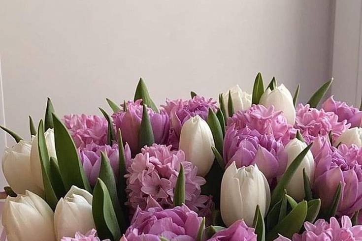 Buquê tulipas