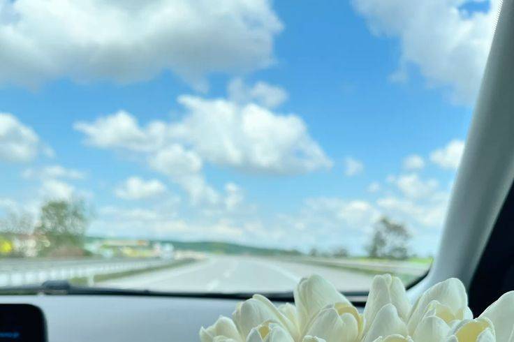 Buquê tulipas