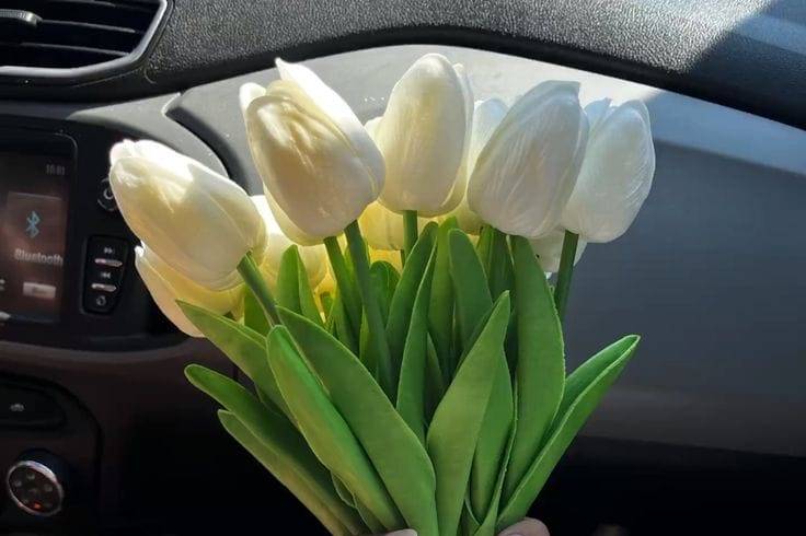 Buquê tulipas