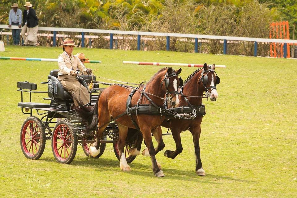 Carruagem Parelha