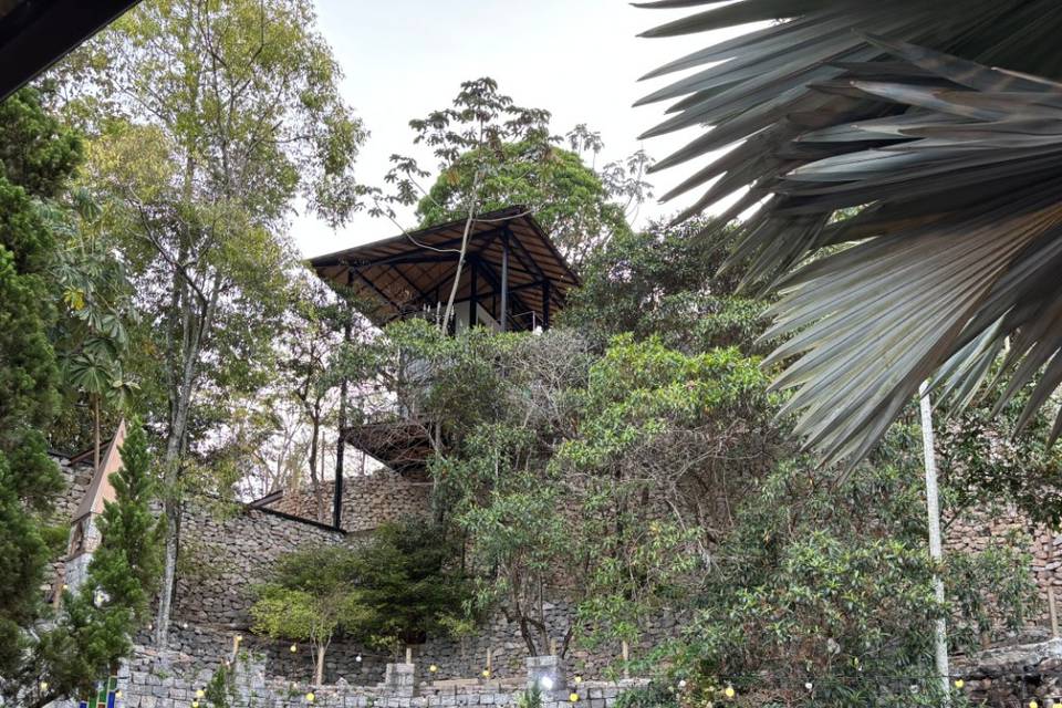 Ticho House