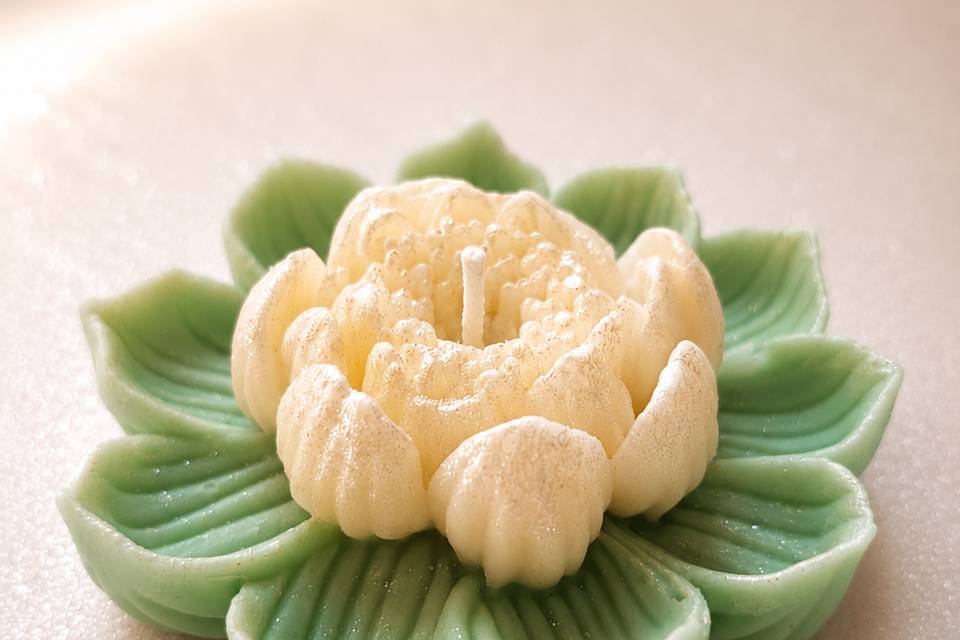 Flor de lótus aromática