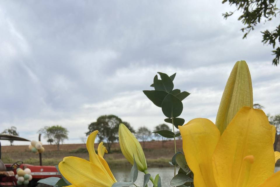 Decoração flores amarelas
