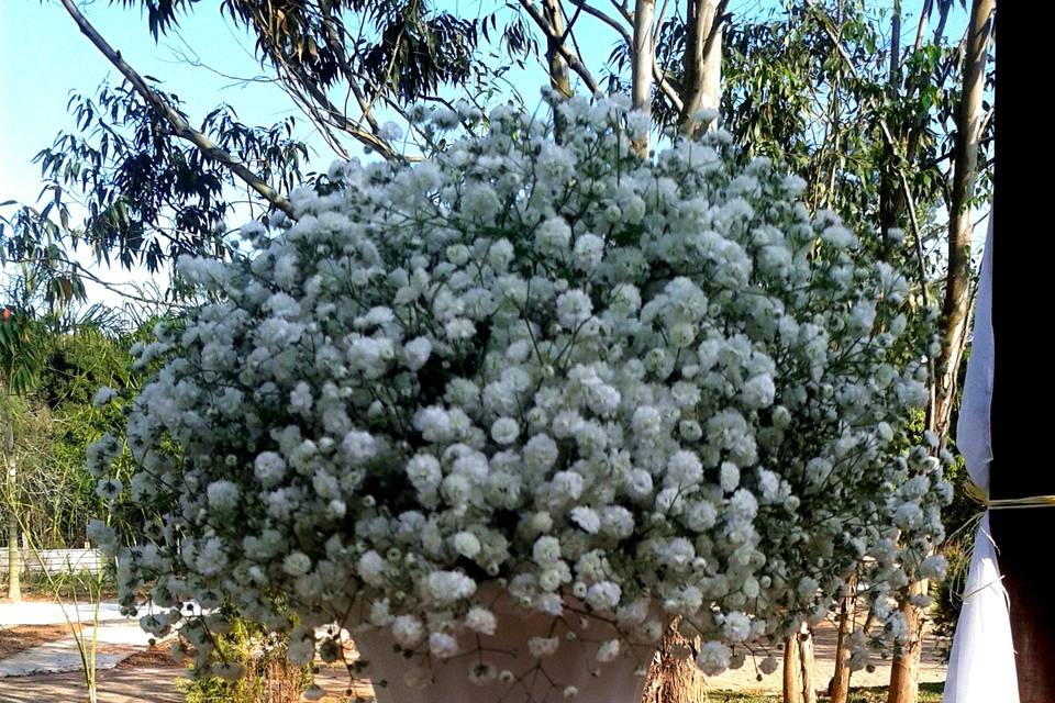 Arranjo floral