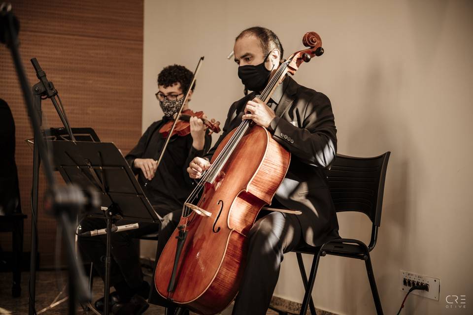 Violino e violoncelo