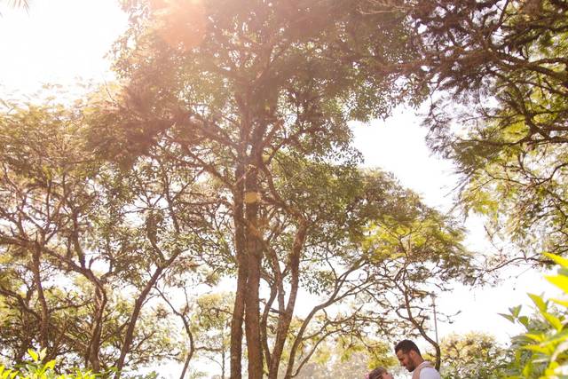 Pre-Wedding