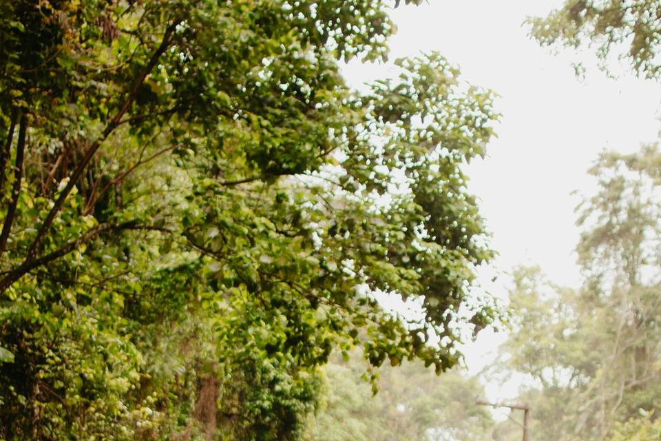 Pré Wedding - Campo