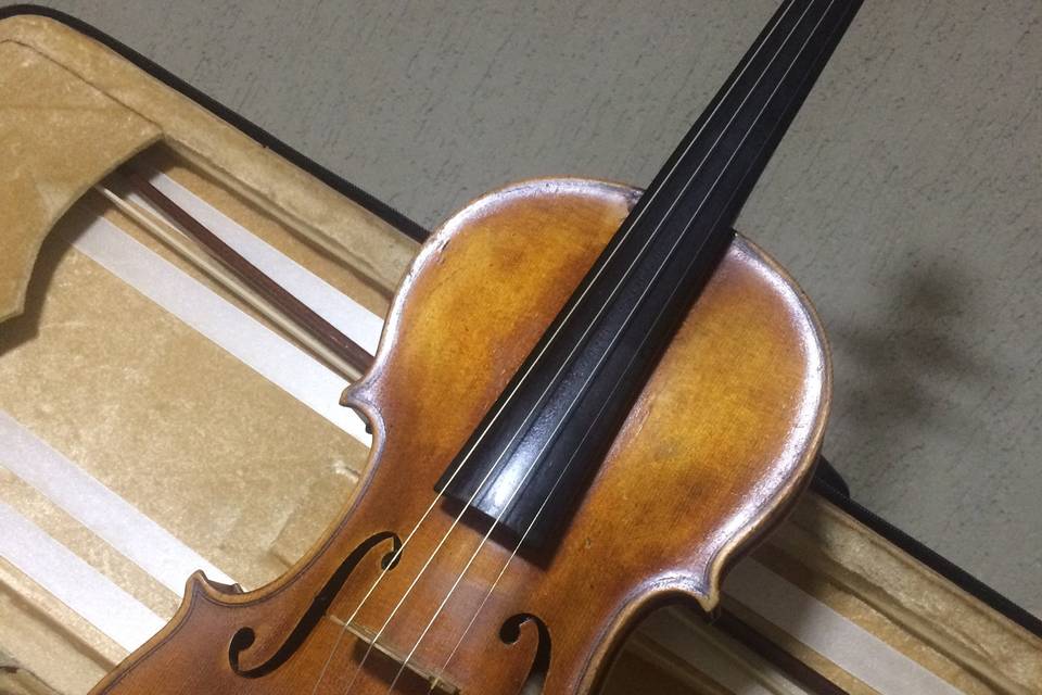 Solo - Violino