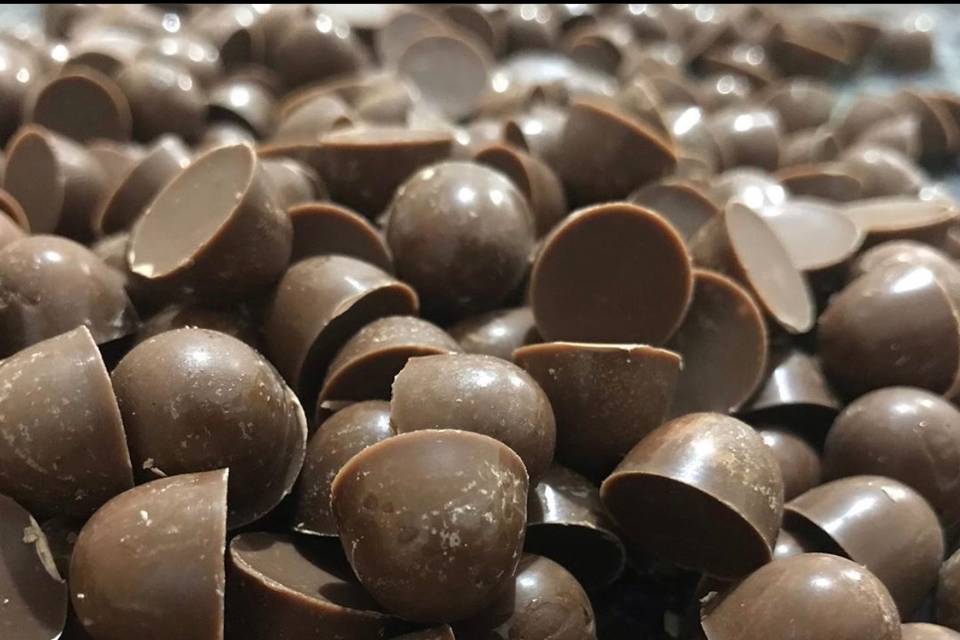 Selva de Chocolate
