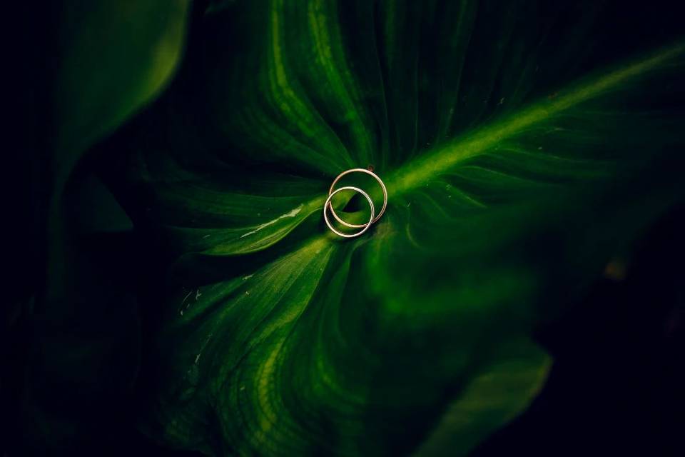 CERIMONIA DE CASAMENTO