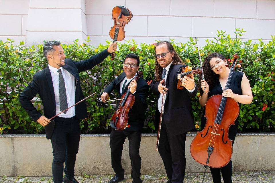 Quarteto de Cordas