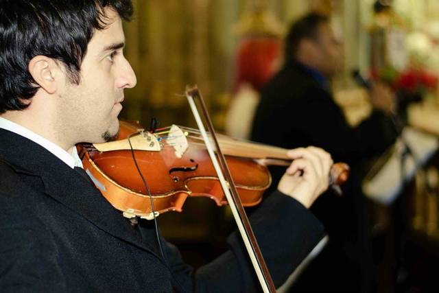 Violinos