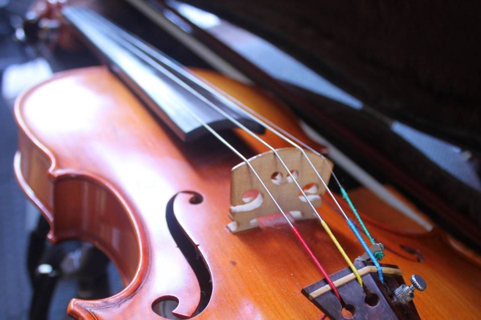 João Salgado Violino