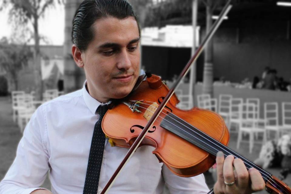 João Salgado Violino