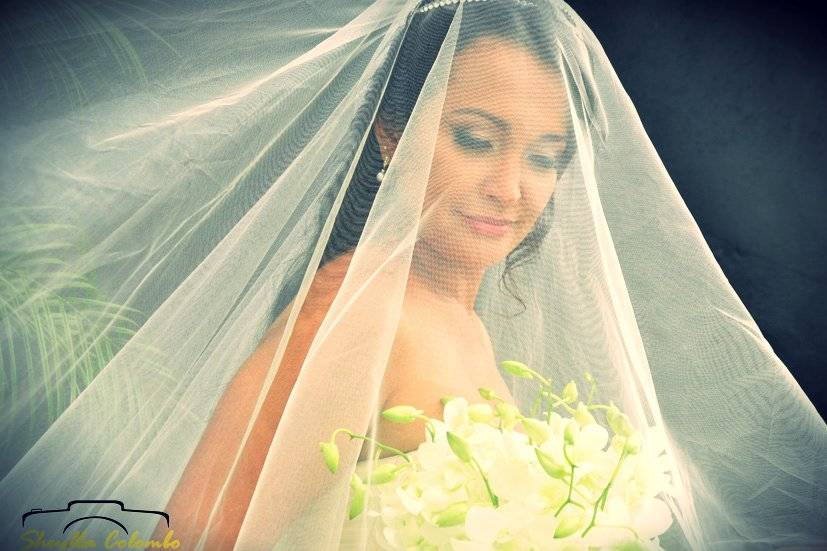 Casamento/Festa