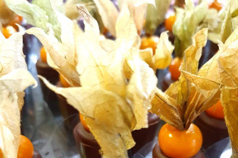 Copinho com physalis