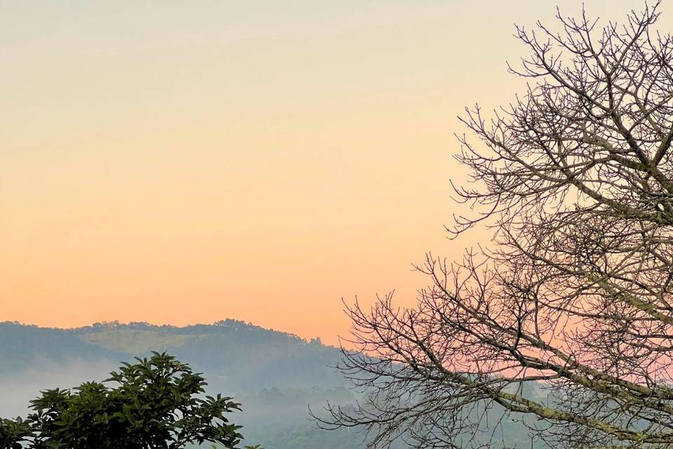 Vista do jardim