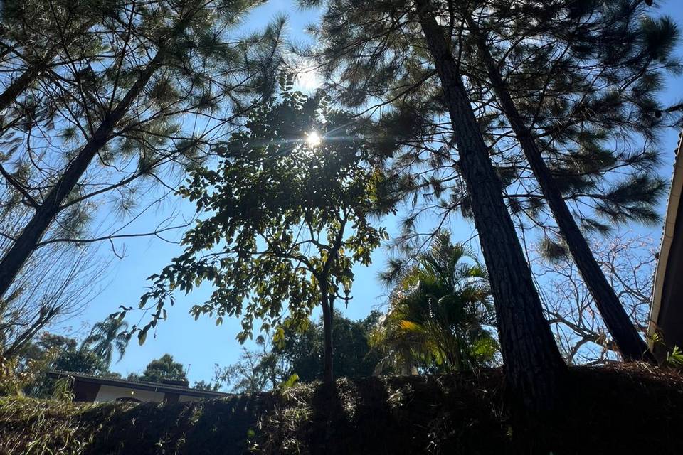 Vista do jardim