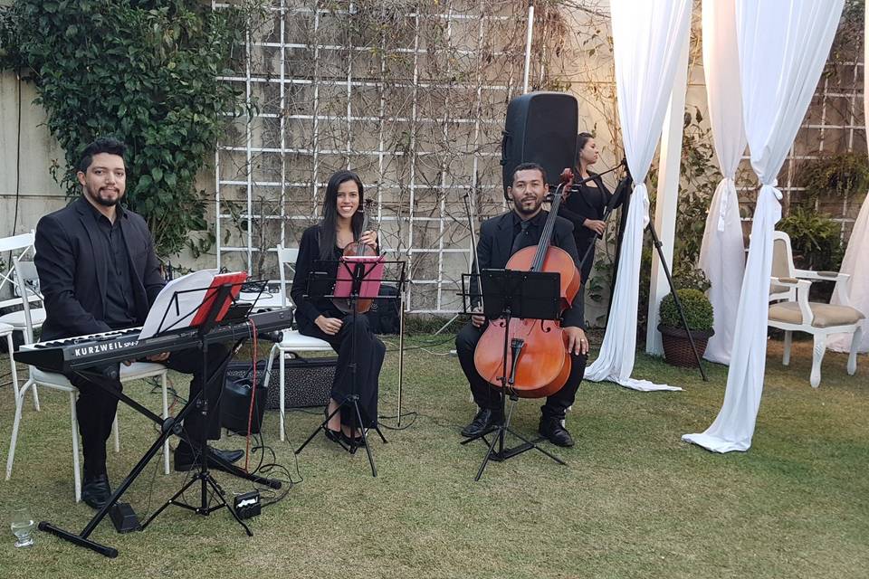 Trio para casamento