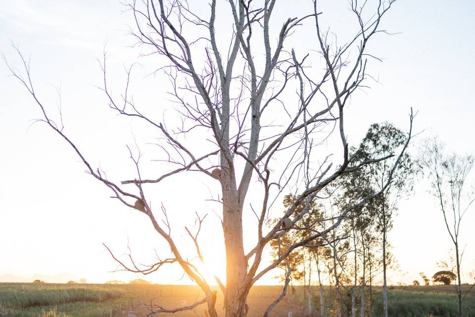 Um dia único, fotos únicas