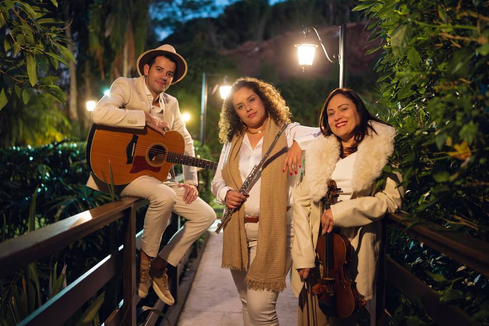 Trio - Violão, flauta e violin