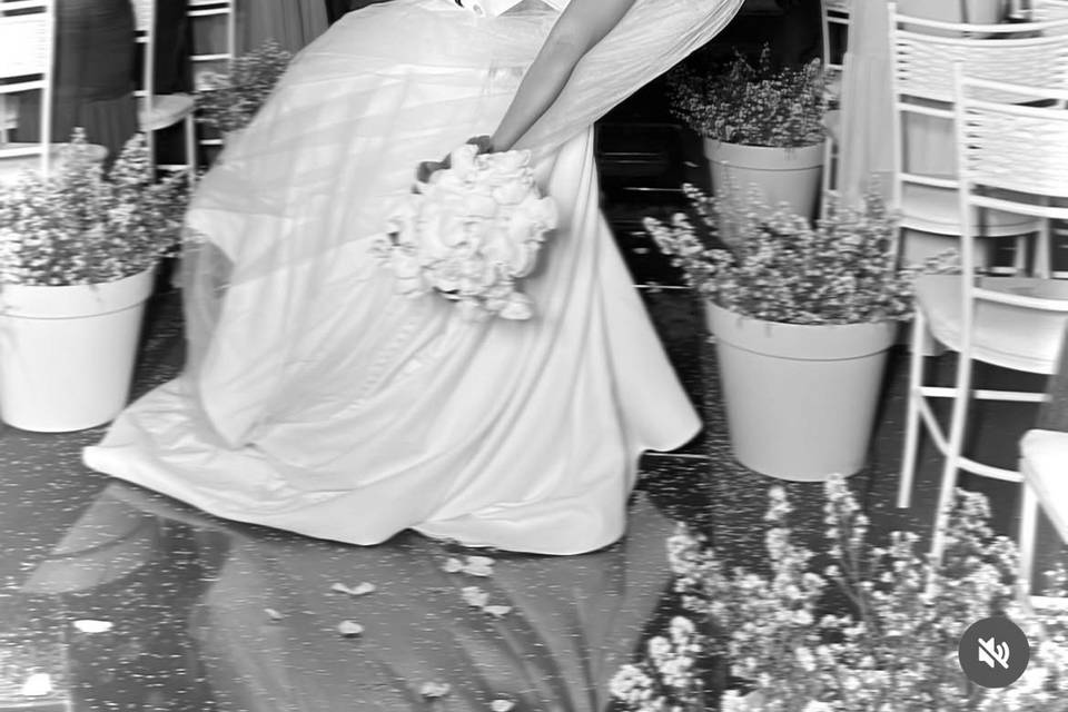 Acompanhe nossos trabalhos