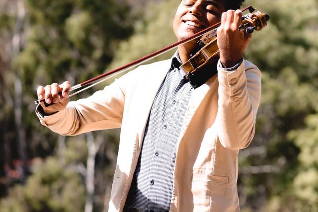 Receptivo Violino