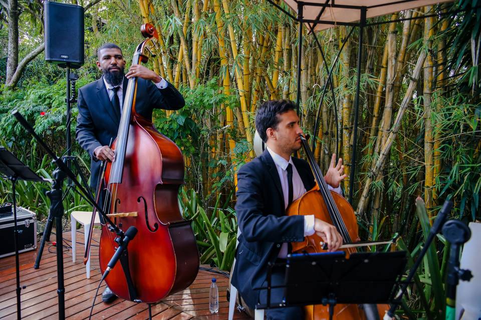 Contrabaixo acústico e Cello