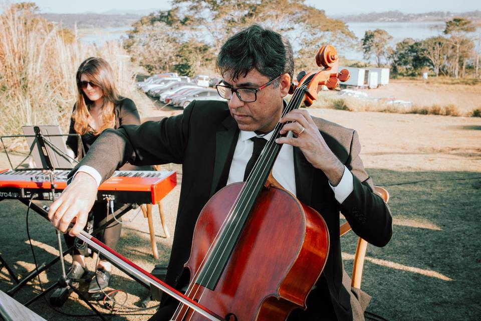 Violoncelo