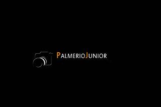 Palmerio junior logo