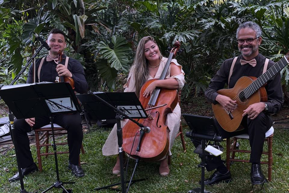 Trio com violão