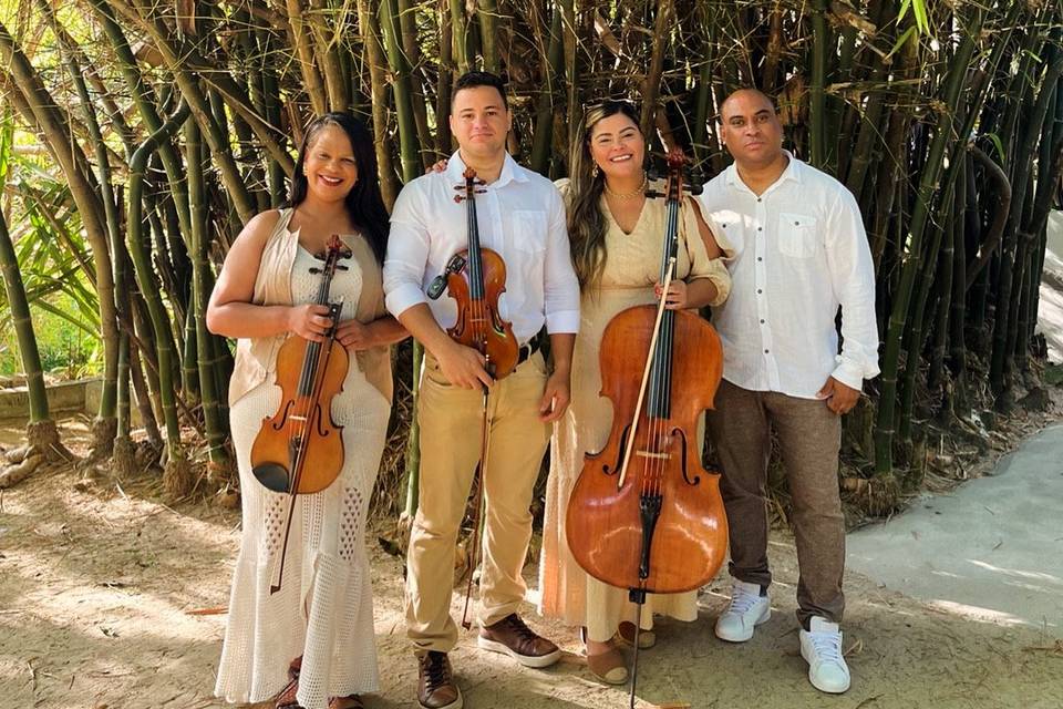 Equipe Vcello