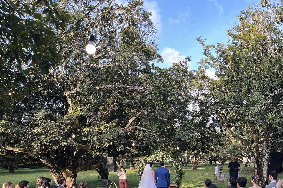 Thaysa & Felipe