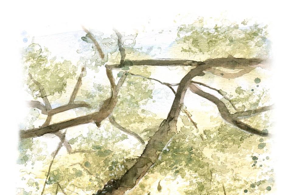 Hosana Cristina Ilustradora