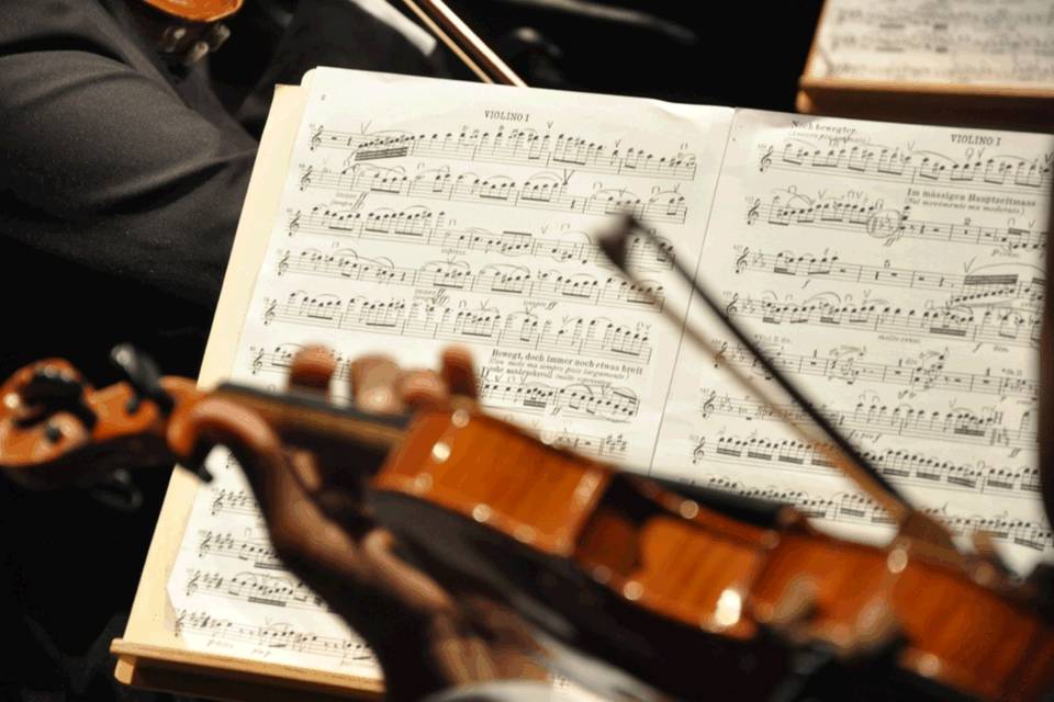 Violino cerimônia