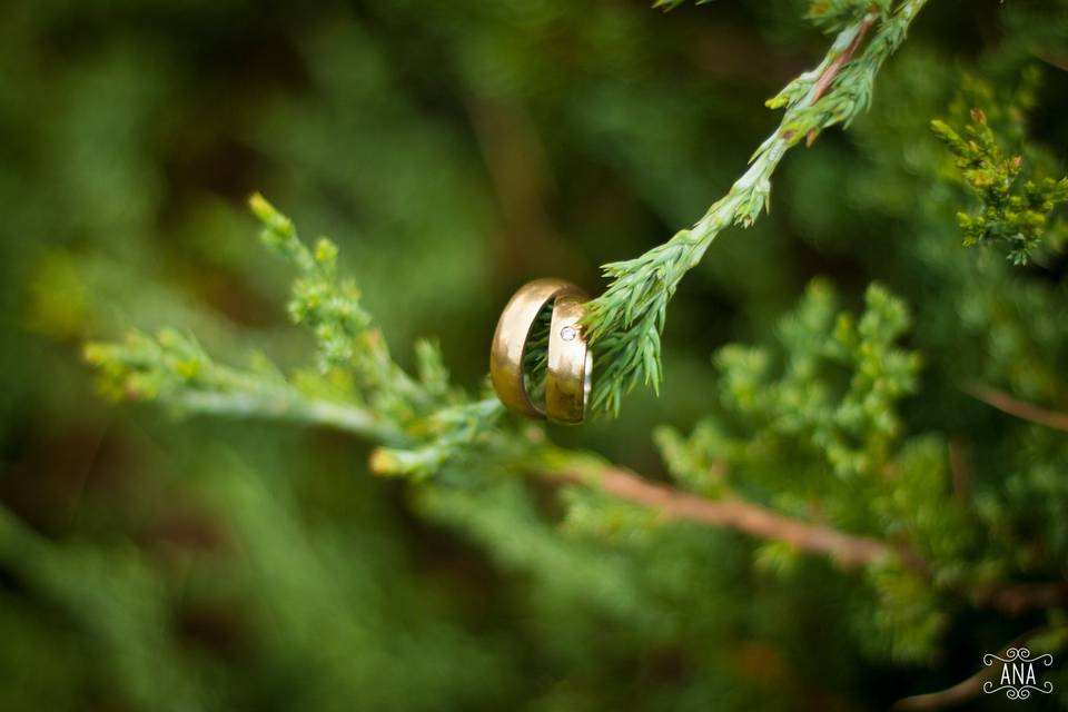 Alianças de casamento