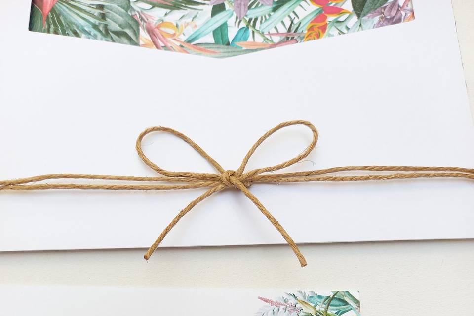 tropical envelope forrado