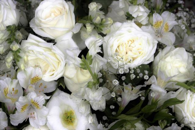 Flores