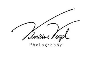 vinicius logo