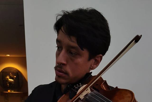 Violino