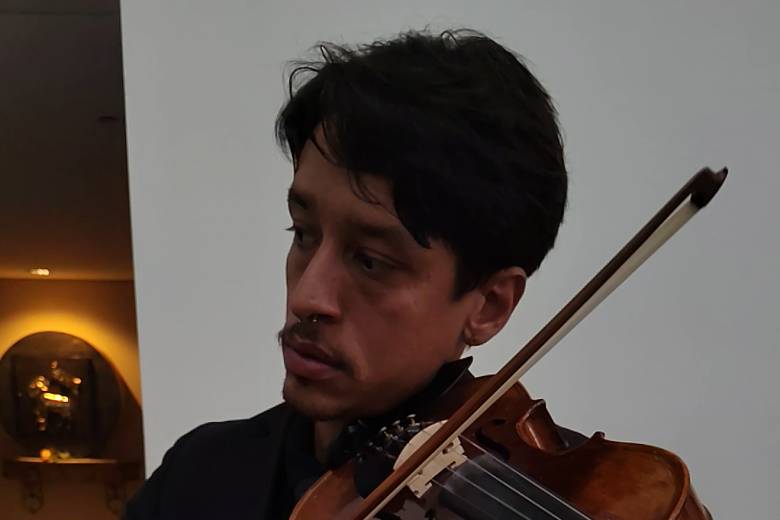 Violino